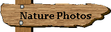 Nature Photos